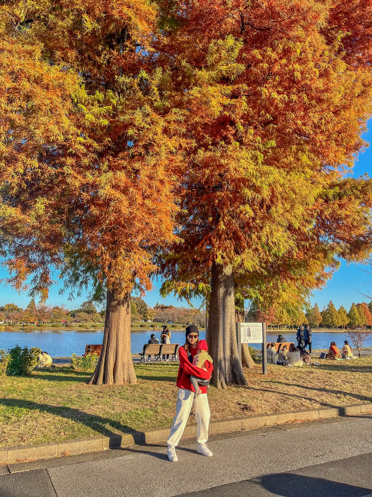 水元公園紅葉