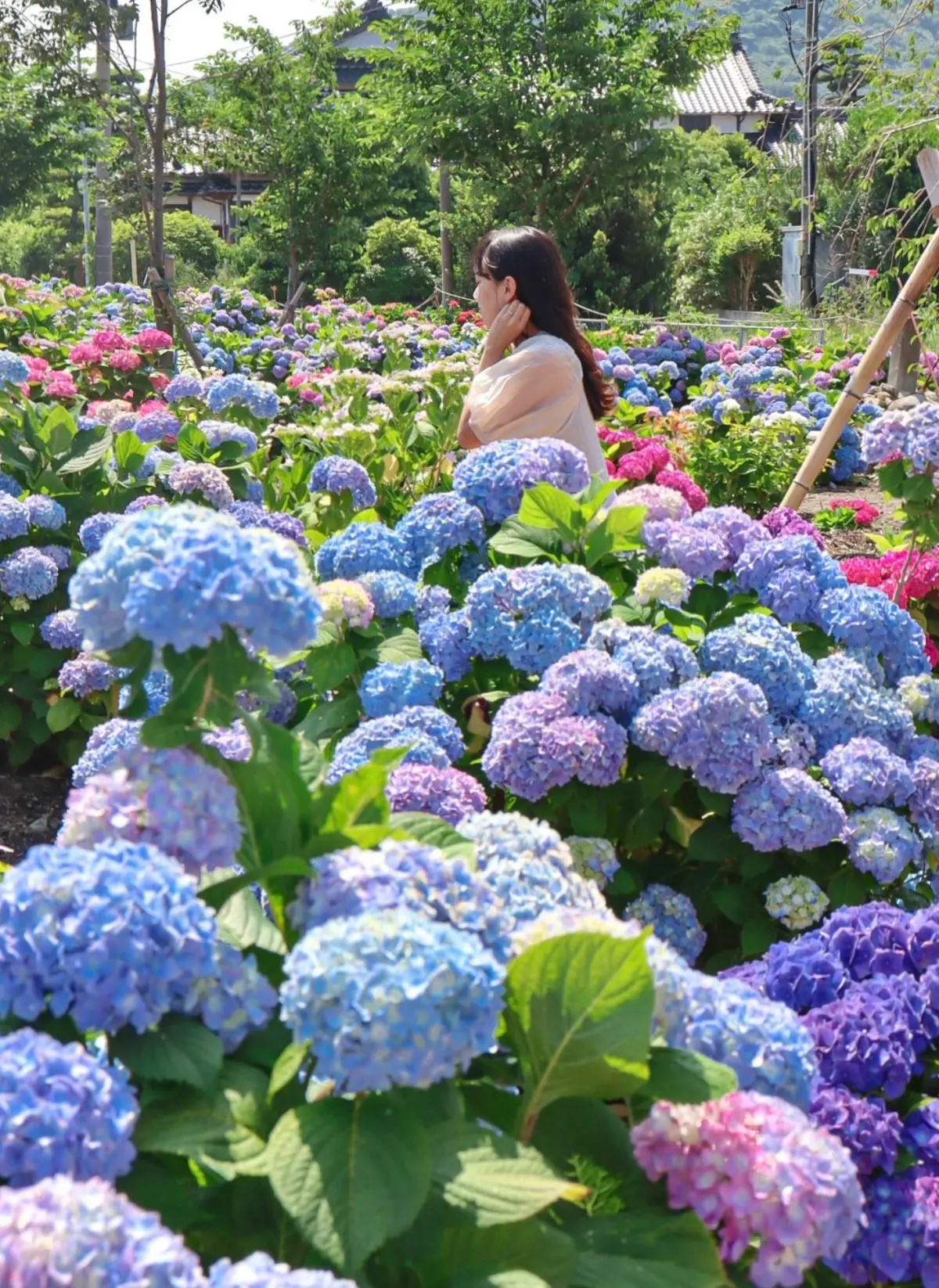 【熊本観光】日本で一番フォトジェニックなの画像_6