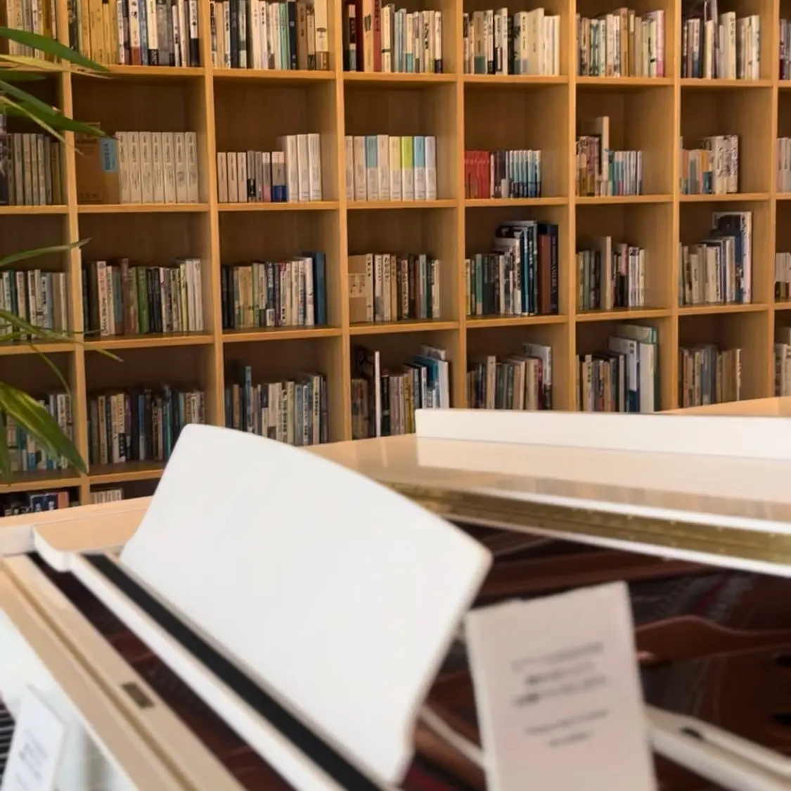 【北海道】札幌カフェなら北菓楼！990円の画像_5