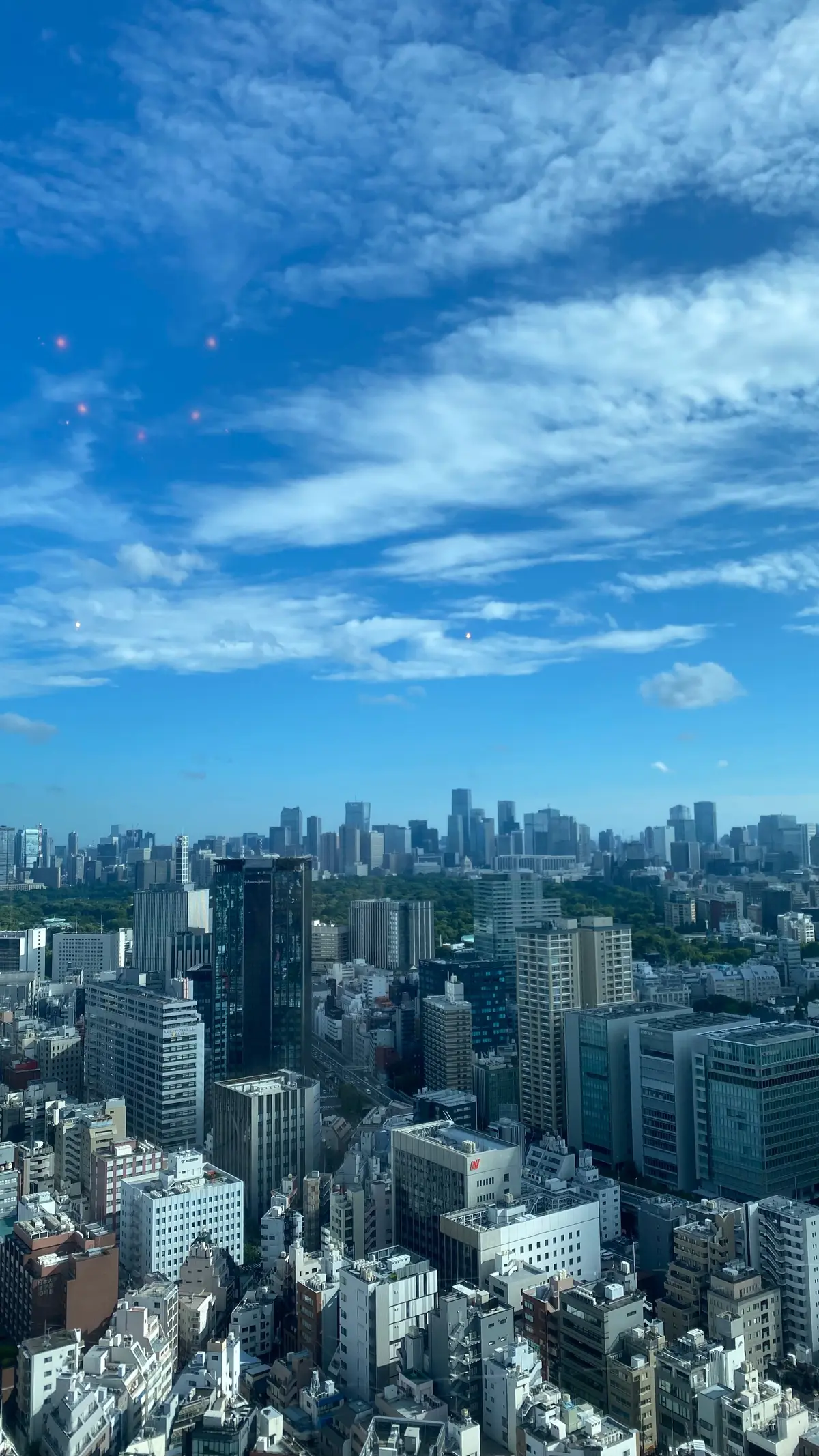 【東京￤アフタヌーンティー】8月まで限定の画像_3