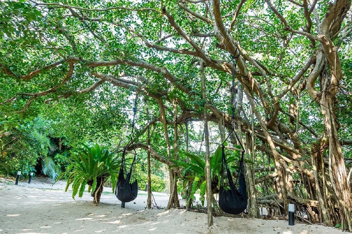 『リゾナーレ小浜島』ガジュマル広場