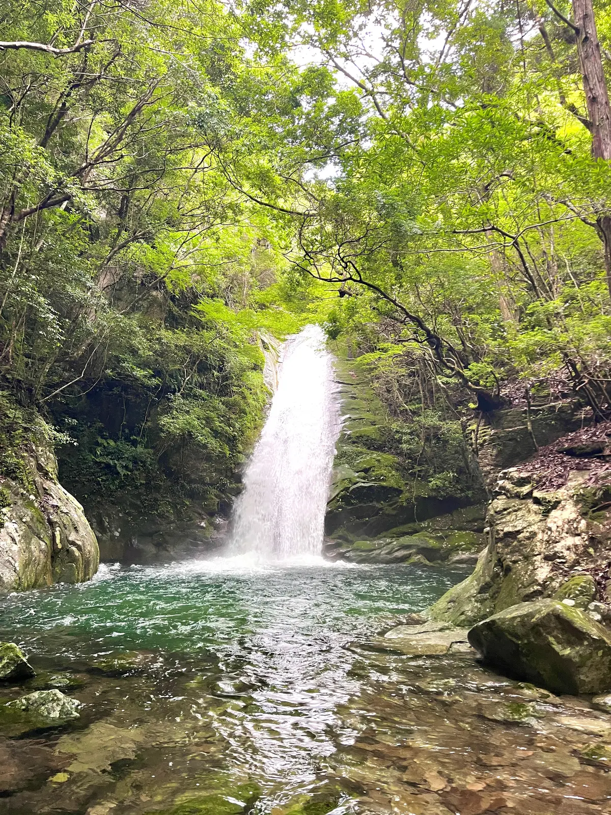 【和歌山】夏満喫間違いなし！”大自然で整の画像_15