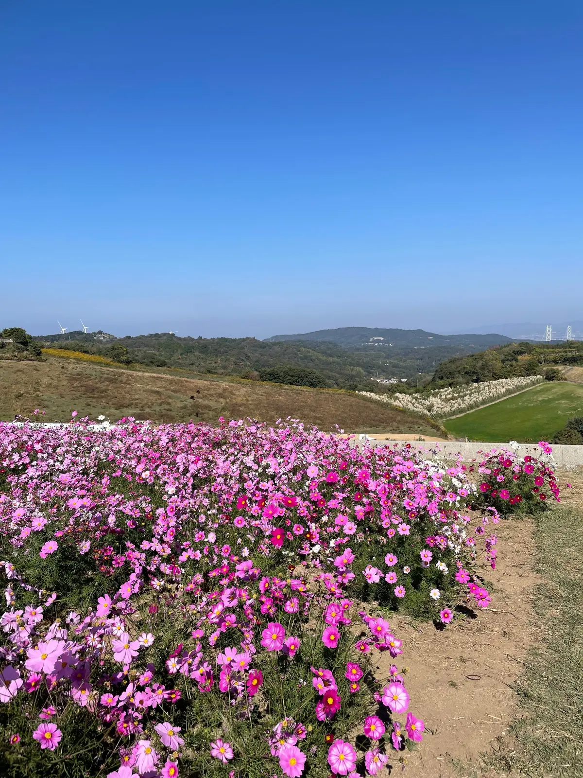 【淡路島】日帰り旅おすすめコース🥰の画像_2