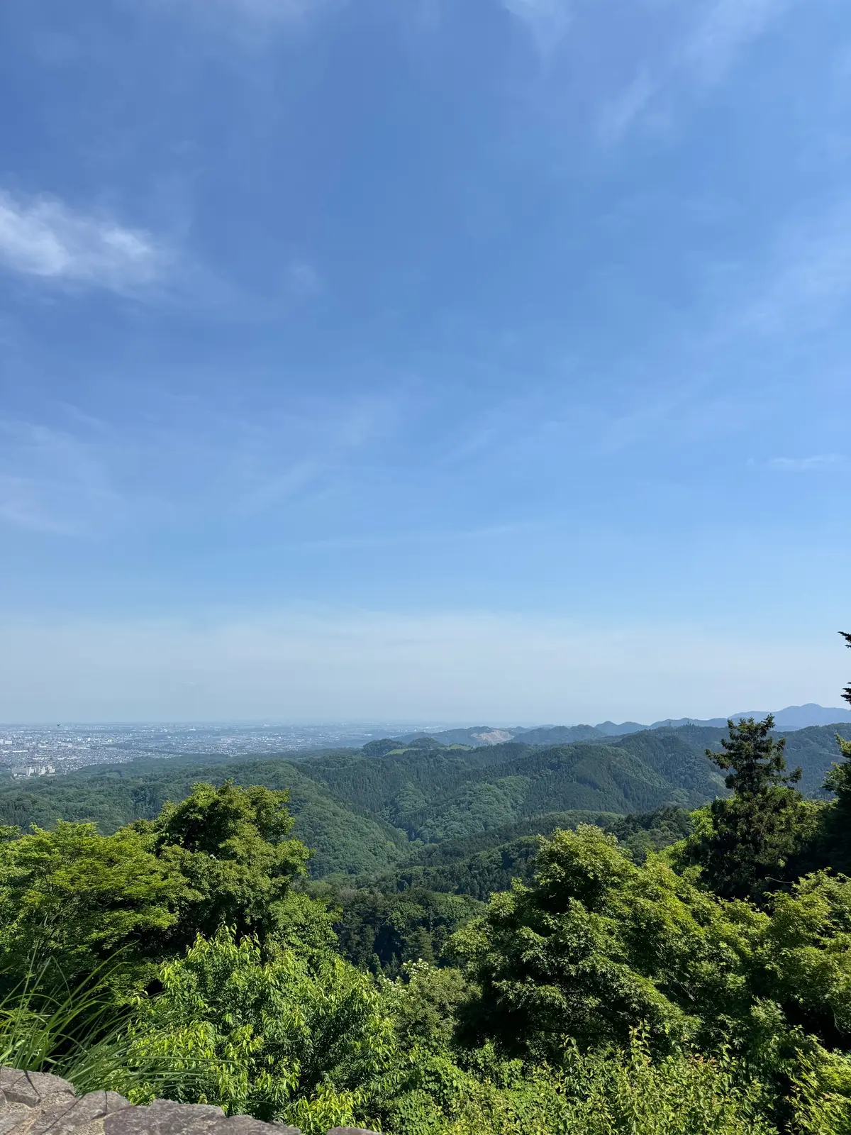 【東京】初めての山登り？！楽しみながら森の画像_1