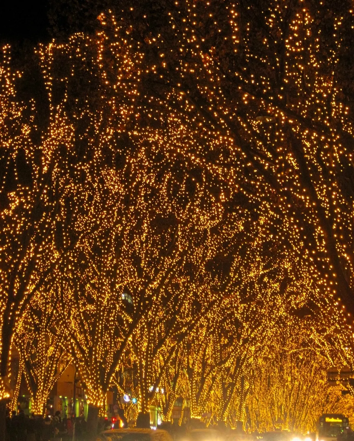 SENDAI光のページェント　定禅寺通