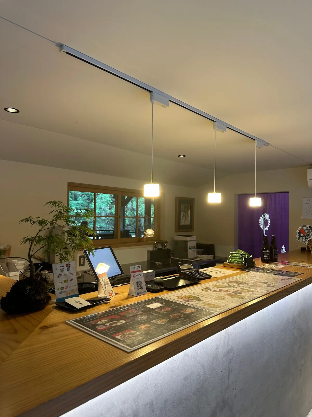 【京都貴船川床】リーズナブルに川床でお食の画像_8