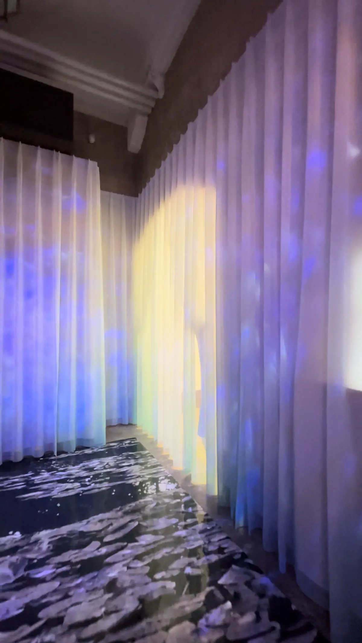 【日本初公開】京都市京セラ美術館にて開催の画像_5