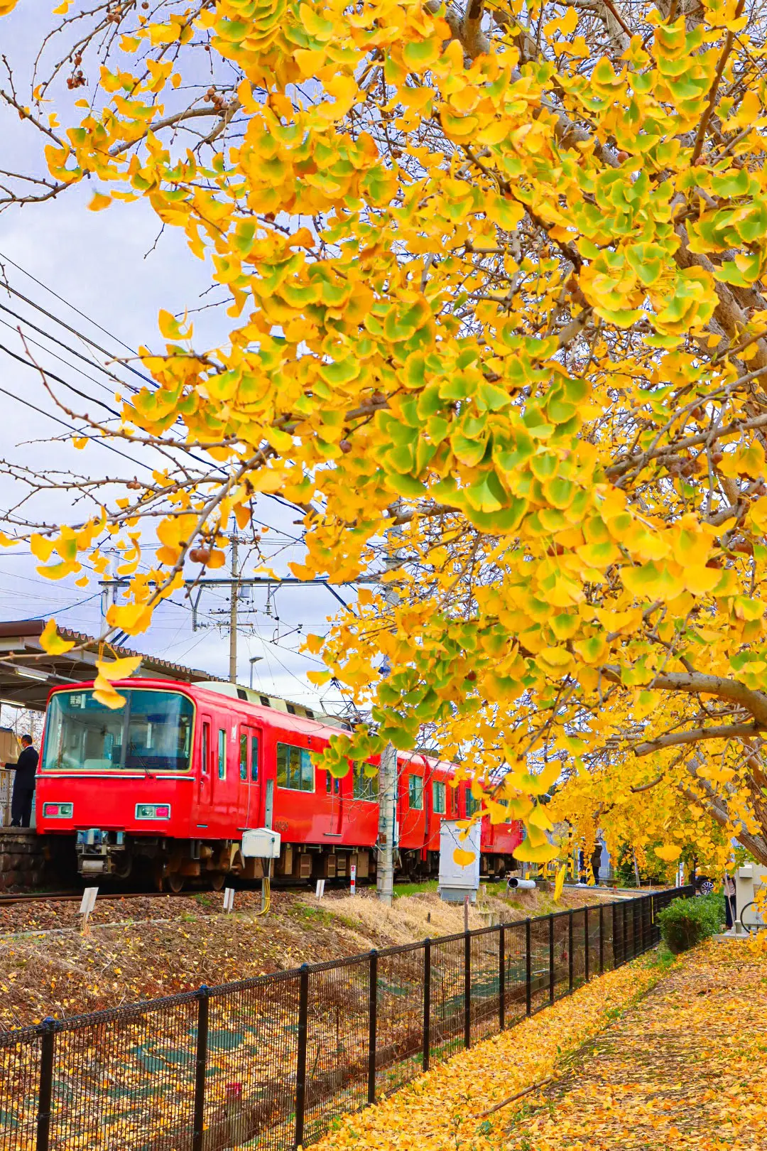 【愛知県】紅葉おすすめスポット３選の画像_2