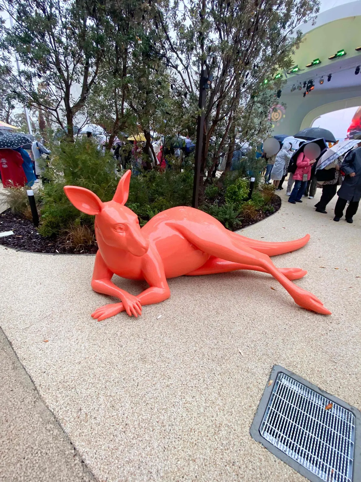 【大阪・関西万博2025】コアラが眠りユの画像_21