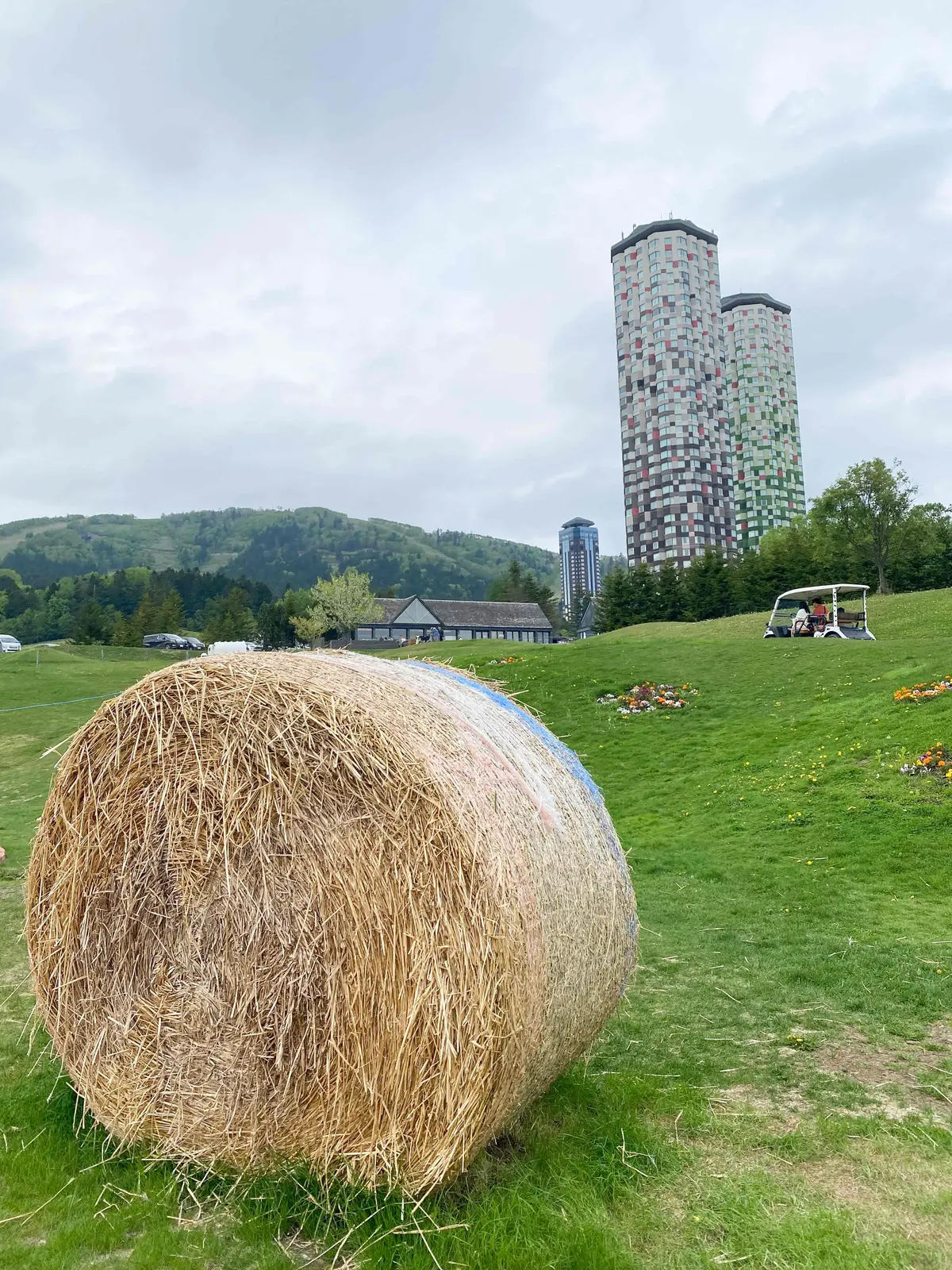 【北海道｜星野リゾートトマム】牛と一緒にの画像_23