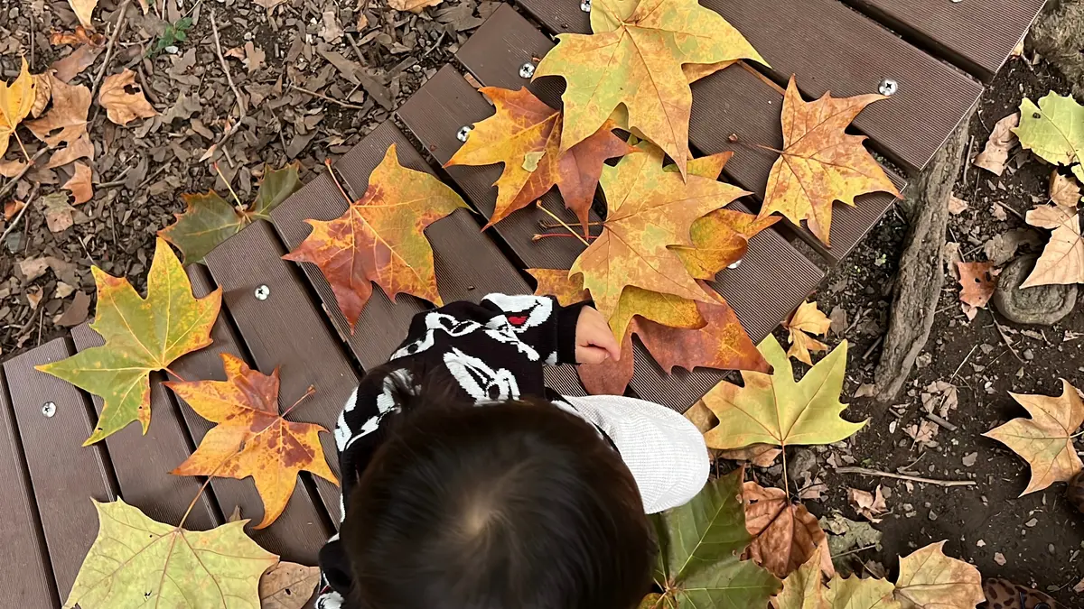 日比谷公園紅葉