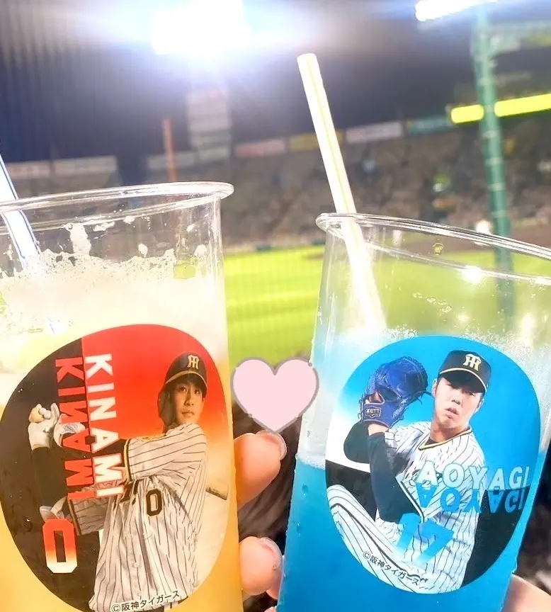 【甲子園】初の野球観戦！阪神タイガースのの画像_3