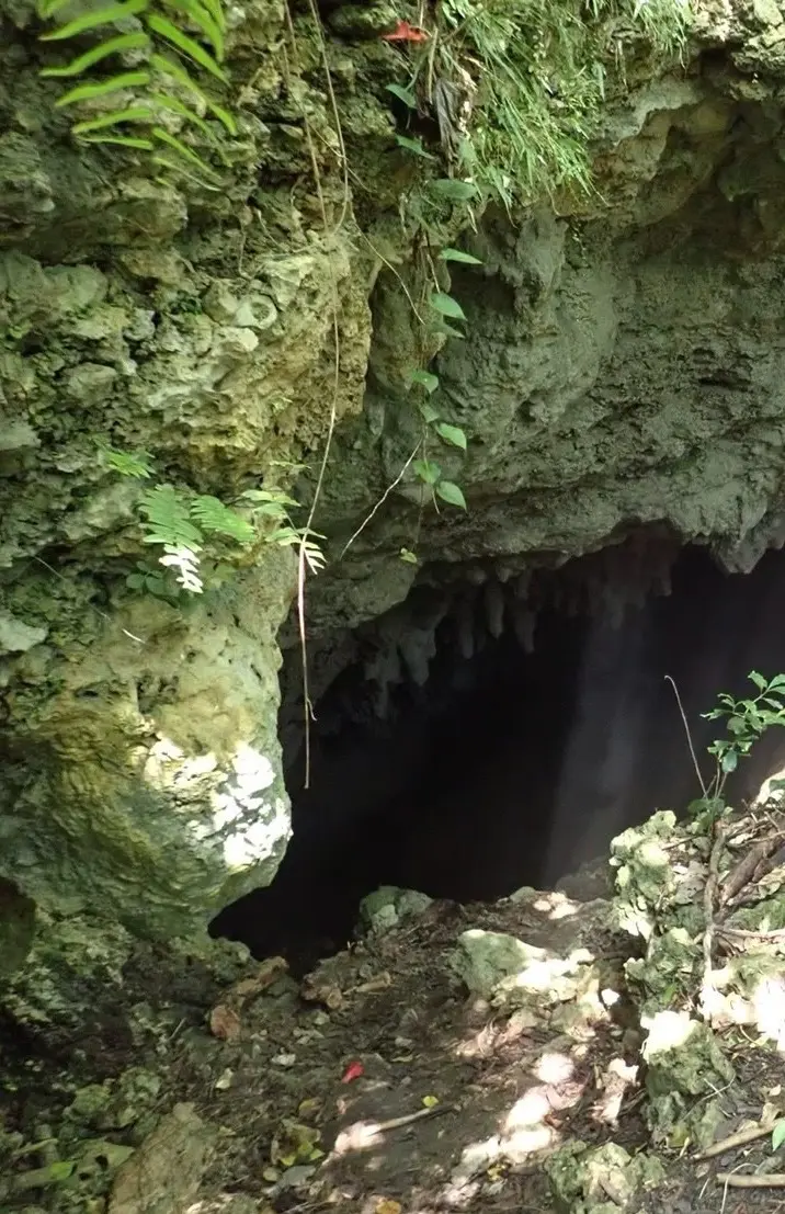 【沖永良部】楽しい！綺麗！映える！アドベの画像_3