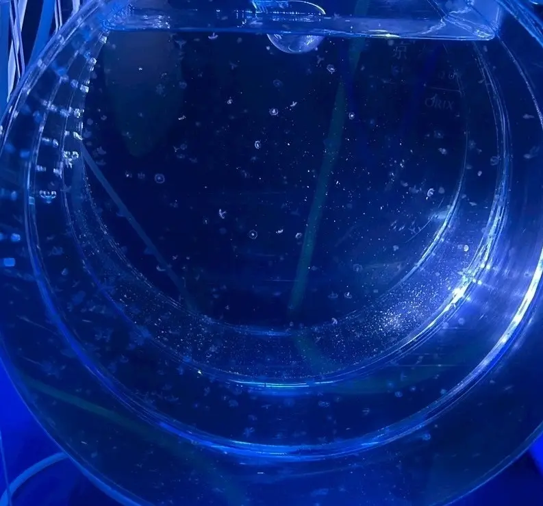 京都｜【昨日生まれたの！？】生後1日のクの画像_4