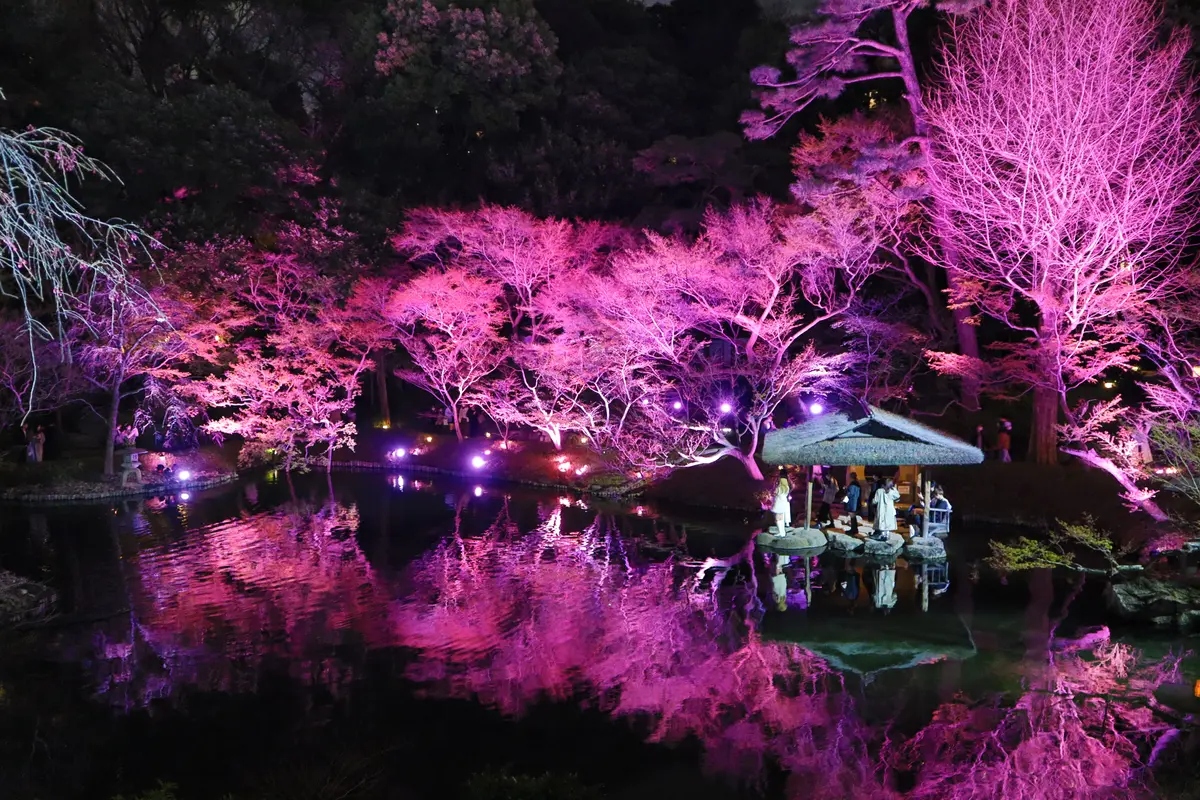 【お花見シーズン】オススメの桜スポットをの画像_2