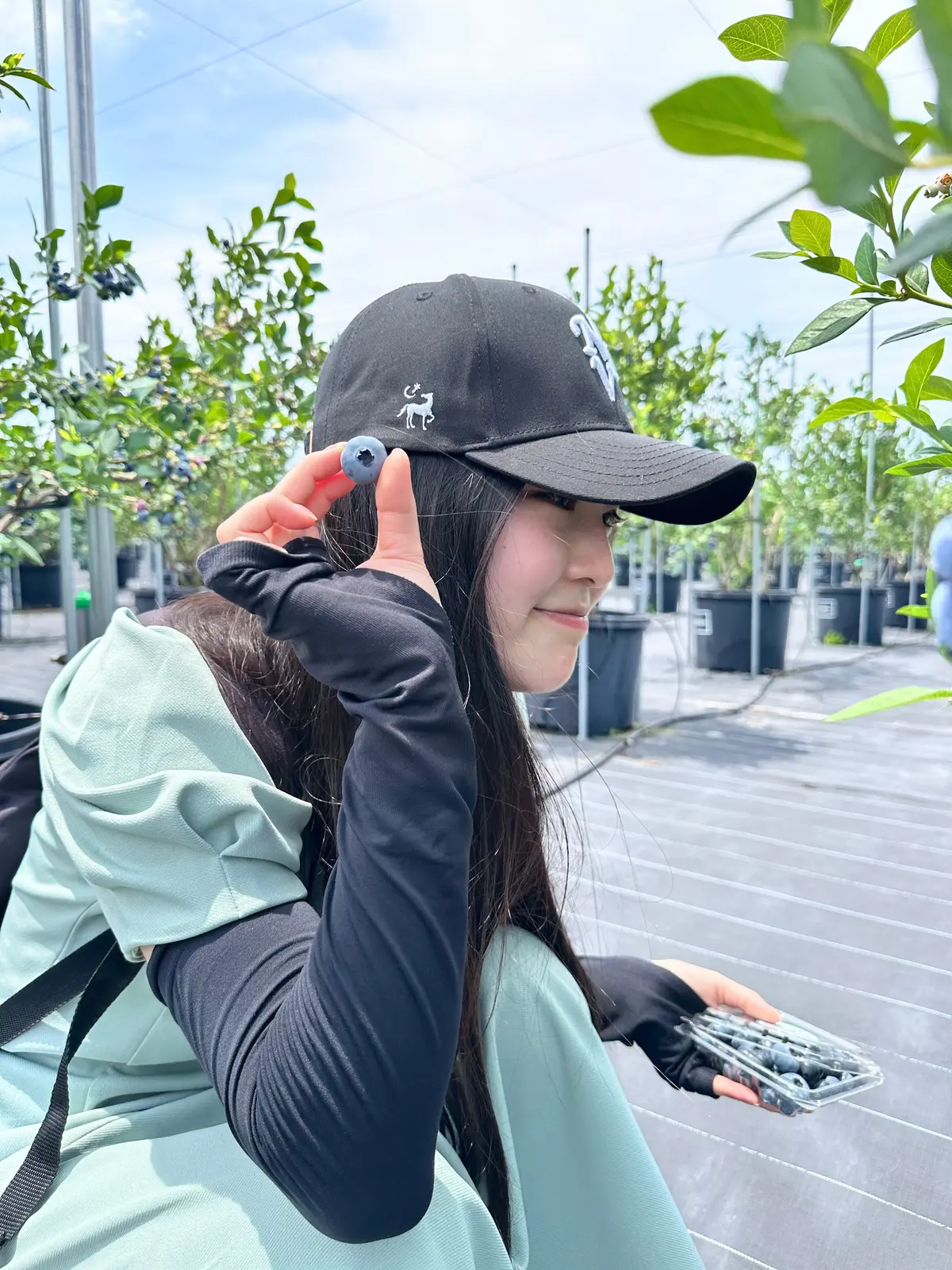 ブルーベリー狩りを楽しみながら、持ち帰り用のブルーベリーも詰めていきます！ 2時間はあっという間に感じました。それほど楽しかったのです。