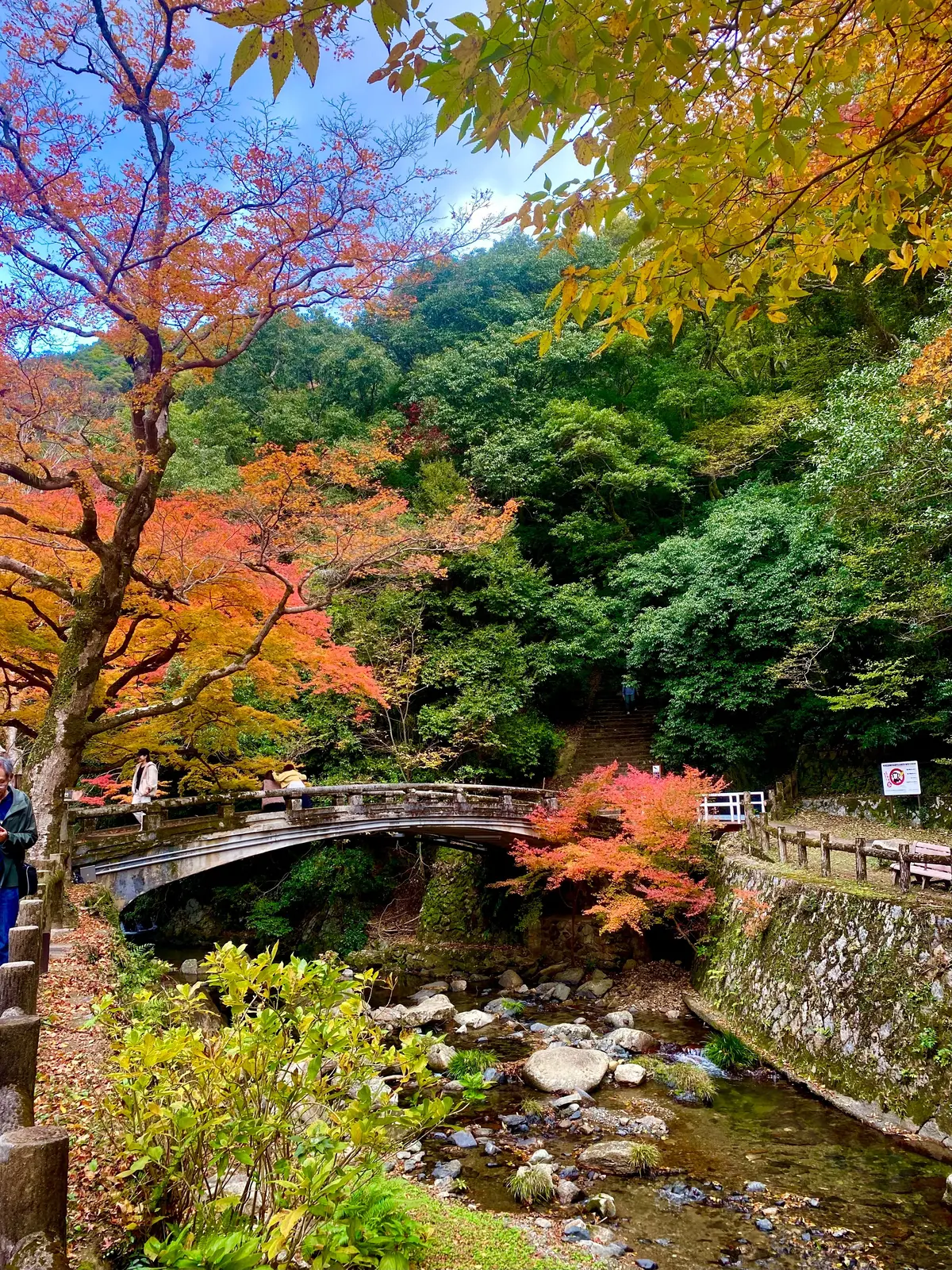 箕面滝道