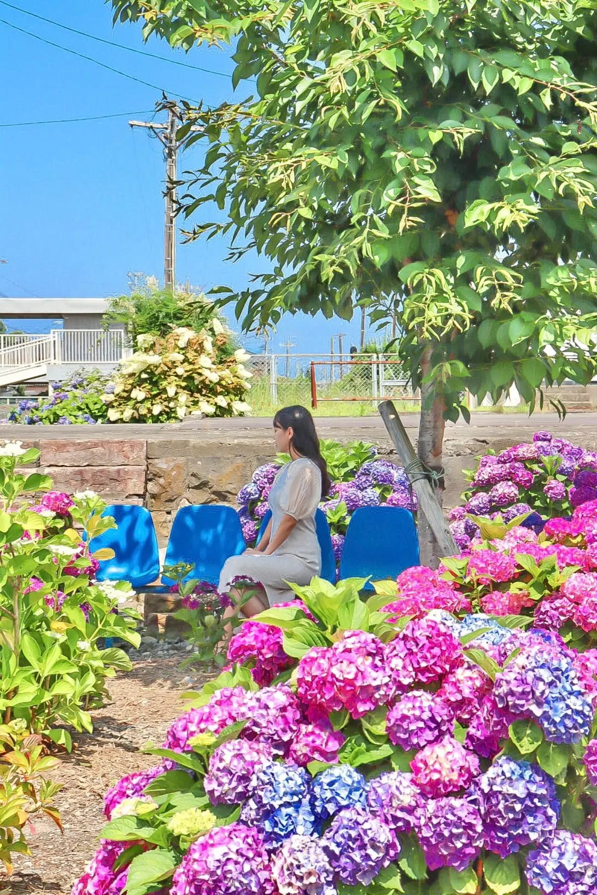 【熊本観光】日本で一番フォトジェニックなの画像_7