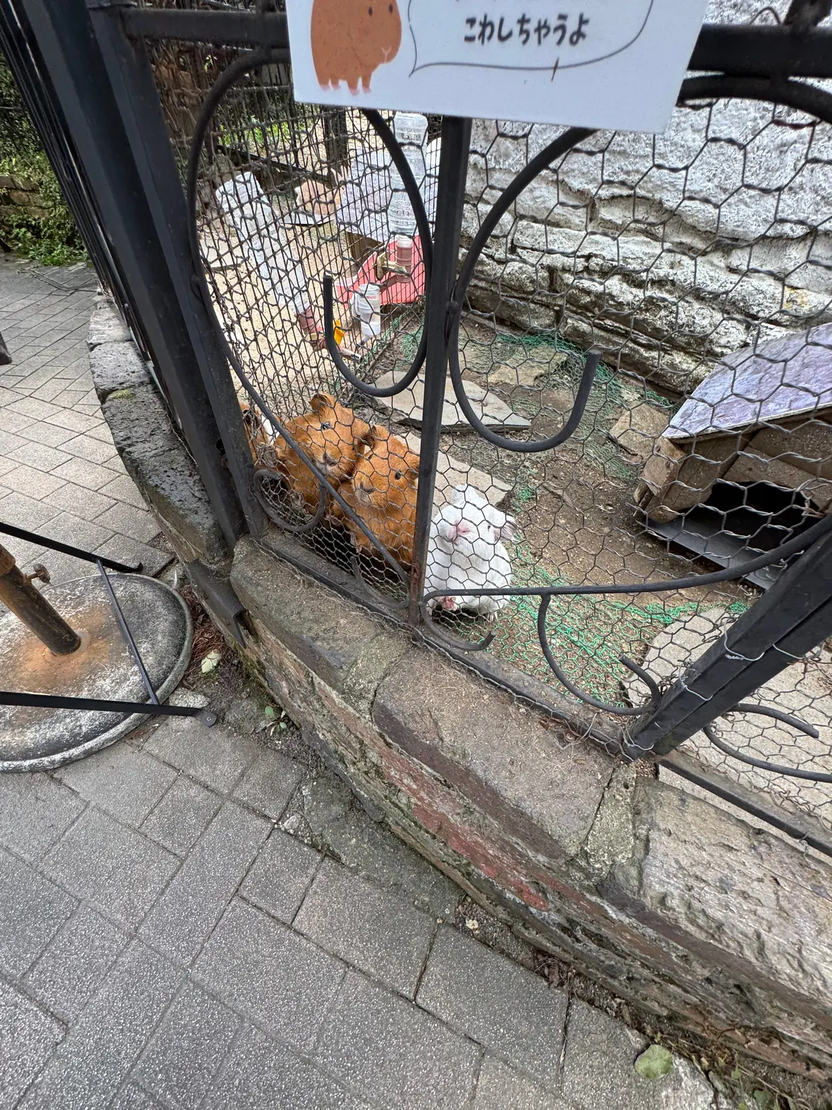 【大分県】おいしいお店がたくさん！湯布院の画像_9