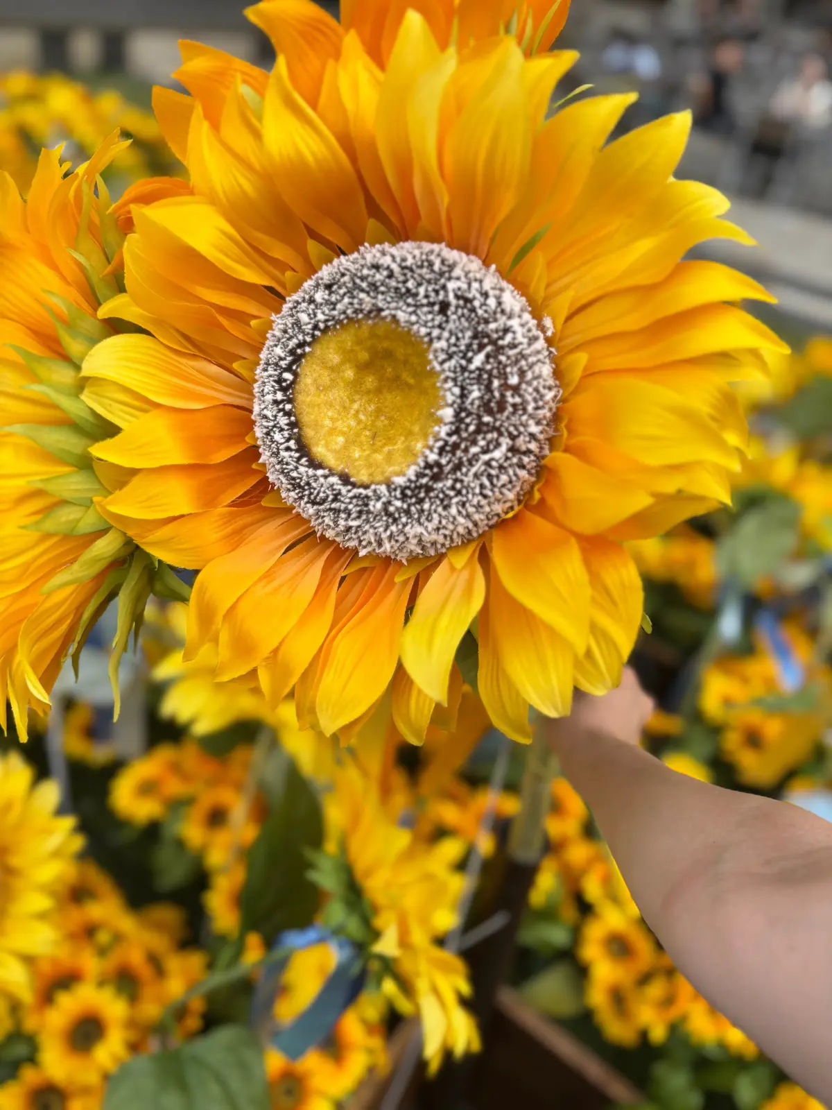 【六本木】東京ミッドタウン『MIDTOWの画像_7