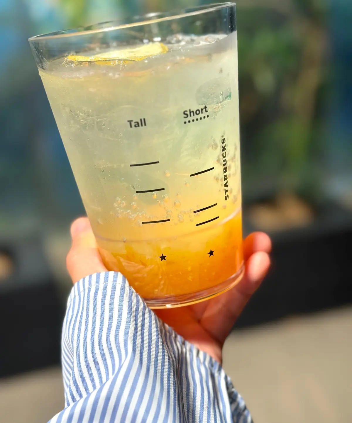 スタバ新作チラックスソーダゆずシトラス
