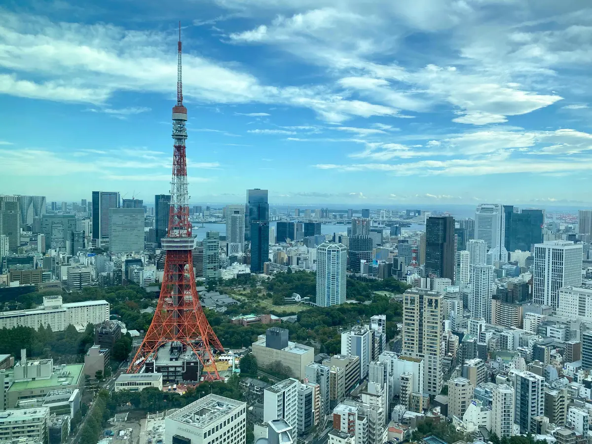 【東京フレンチ】麻布台ヒルズ33階からのの画像_22