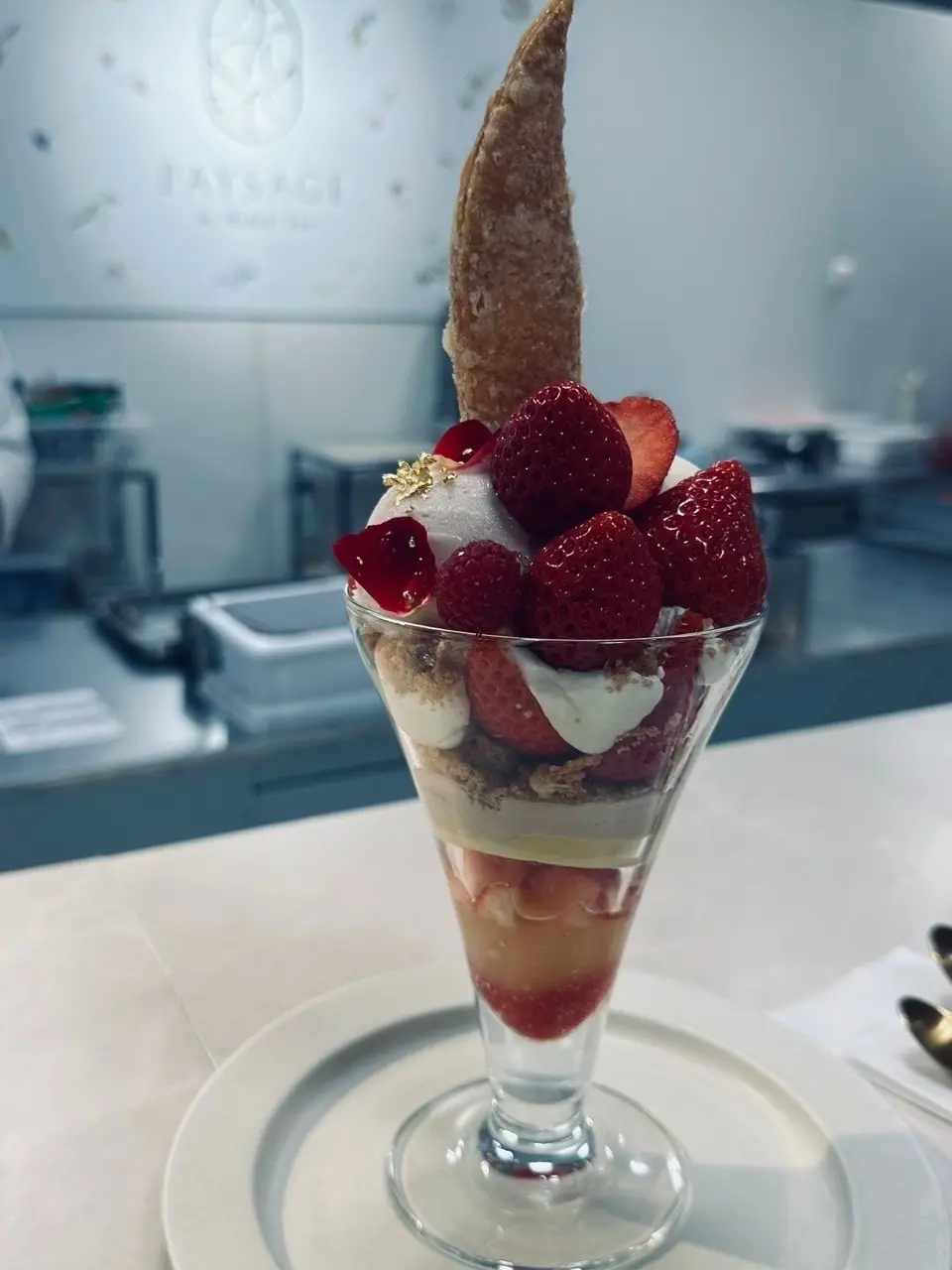 【 2025上半期 BESTおでかけ｜新の画像_8