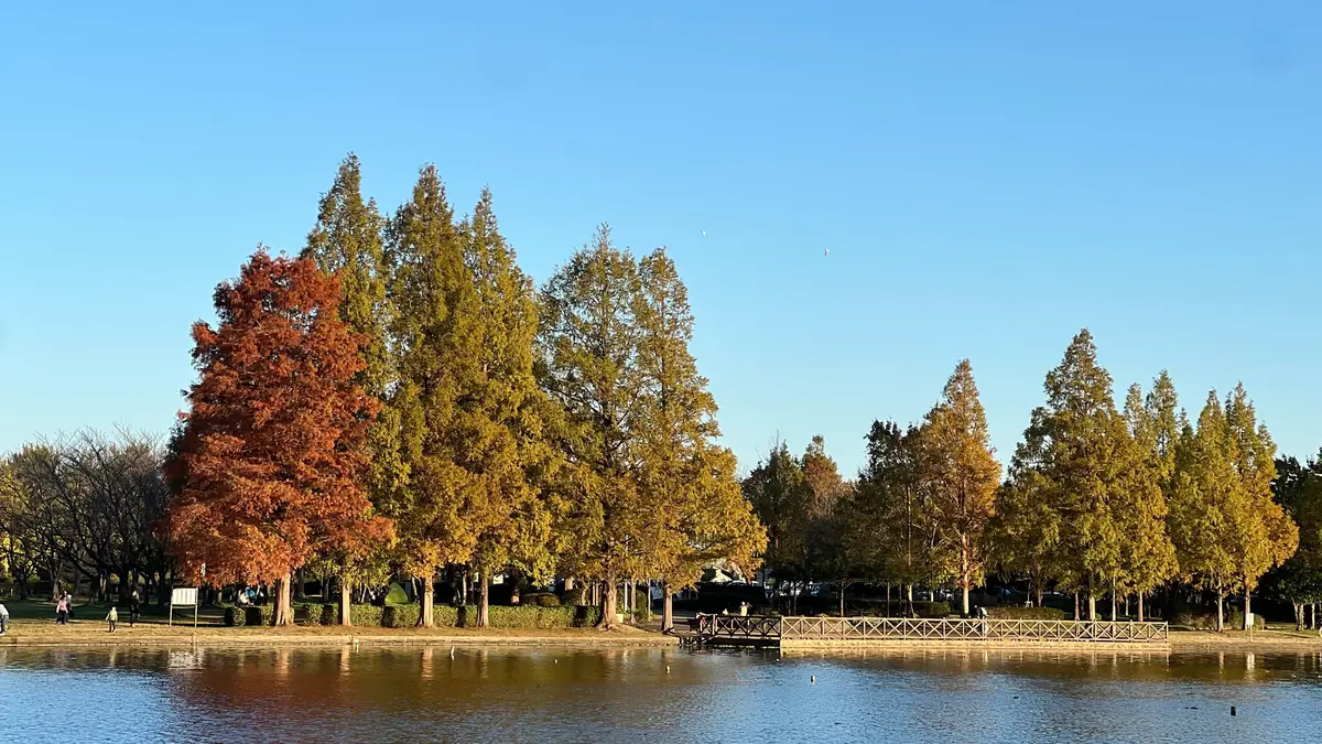 水元公園紅葉