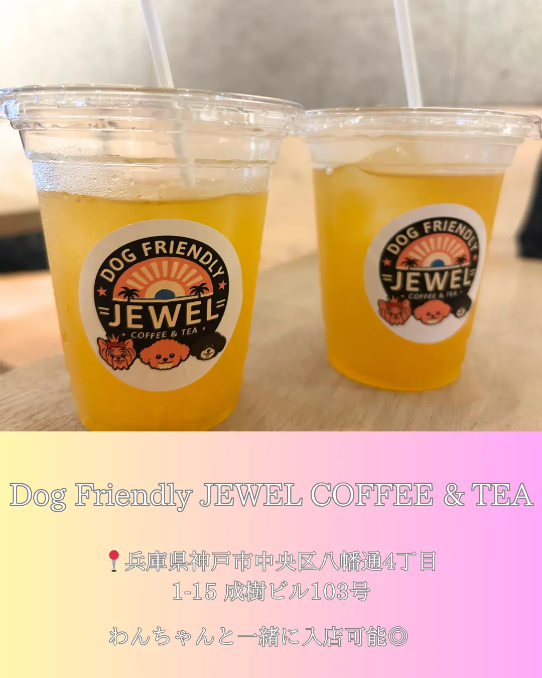 【愛犬と一緒に🐶】神戸を満喫☕️休日にオの画像_3