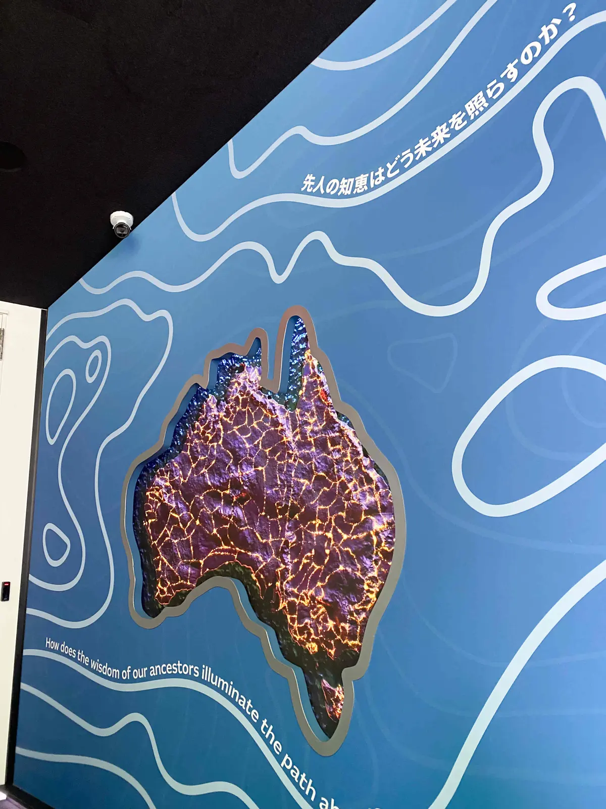 【大阪・関西万博2025】コアラが眠りユの画像_4