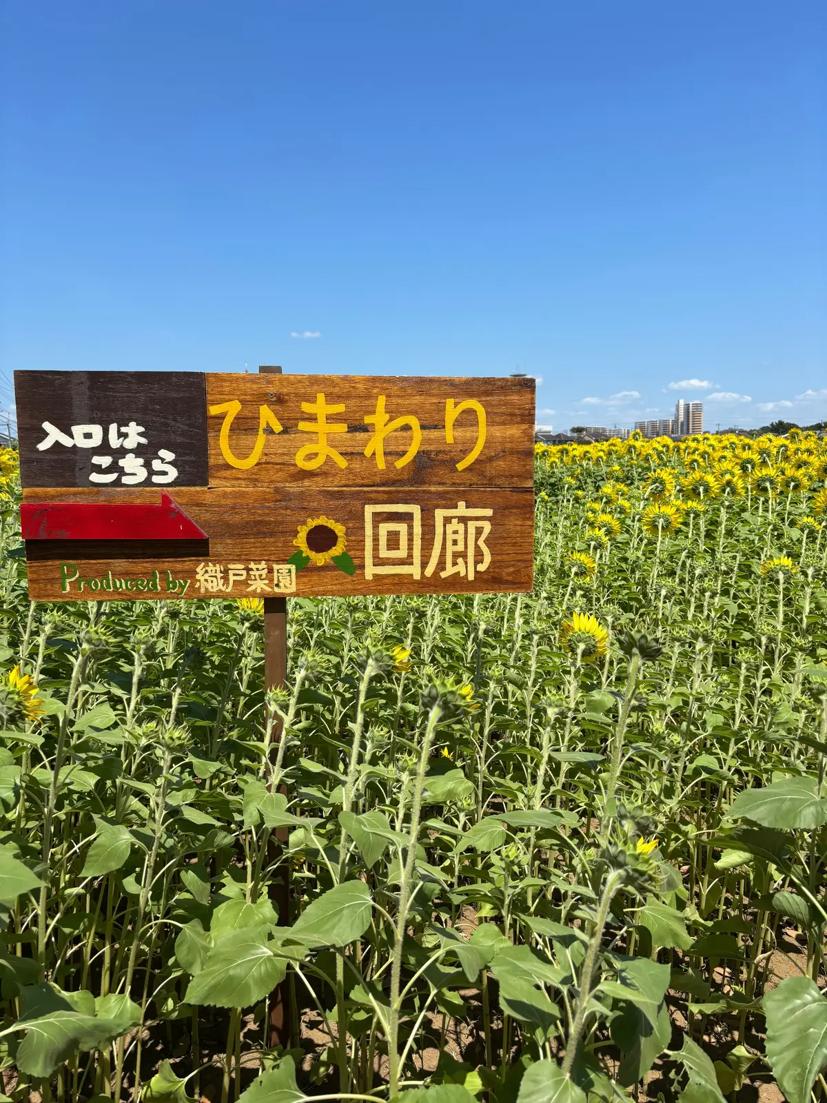 【千葉県/習志野】2025年7月18日よの画像_2