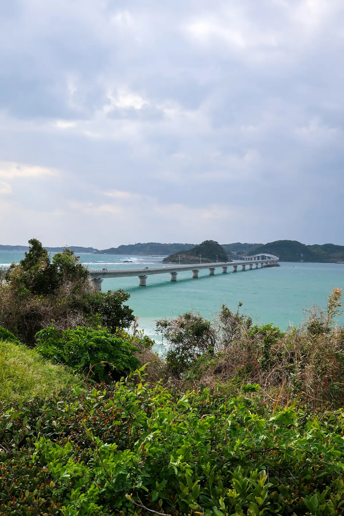 【山口県おすすめ観光コース】唐戸市場/角の画像_3