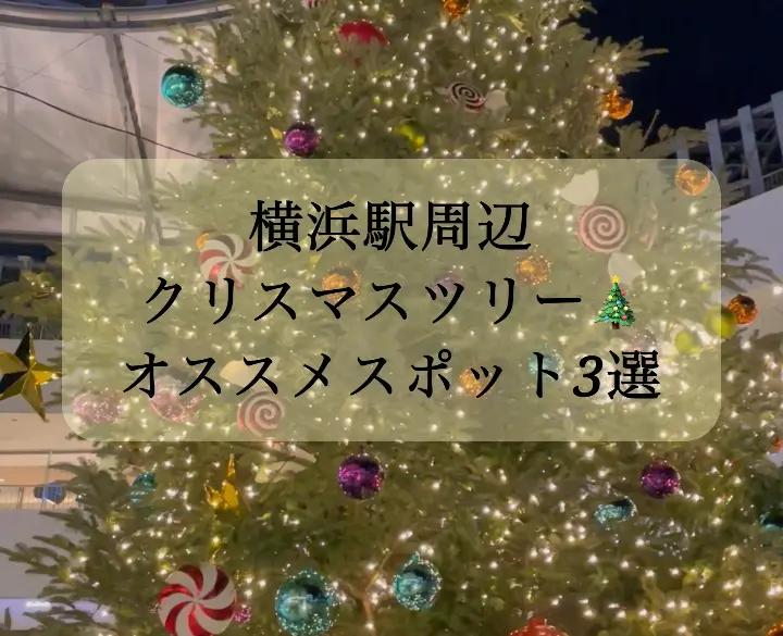 横浜　クリスマス　ツリー