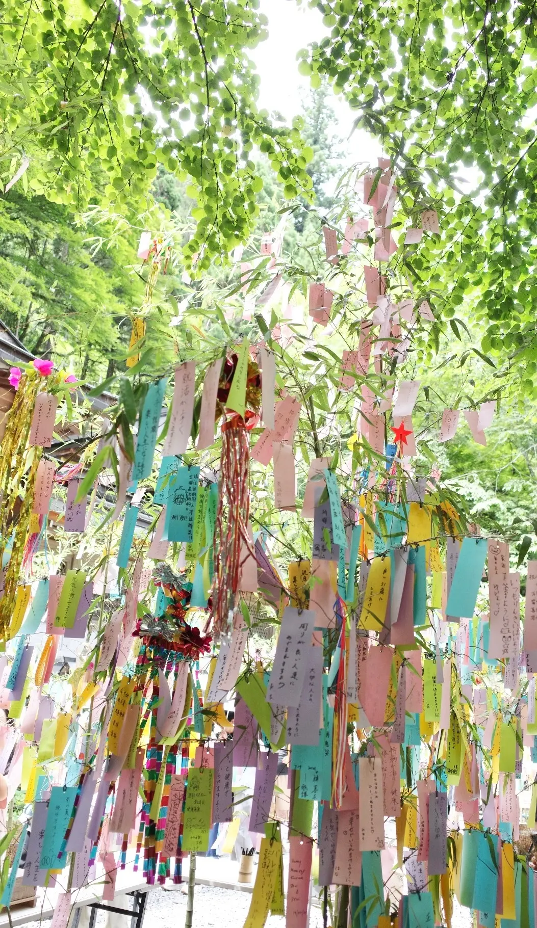 京都　貴船神社