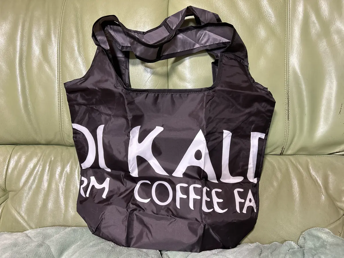 MOREインフルエンサーズ　カルディ　保冷　エコバッグ