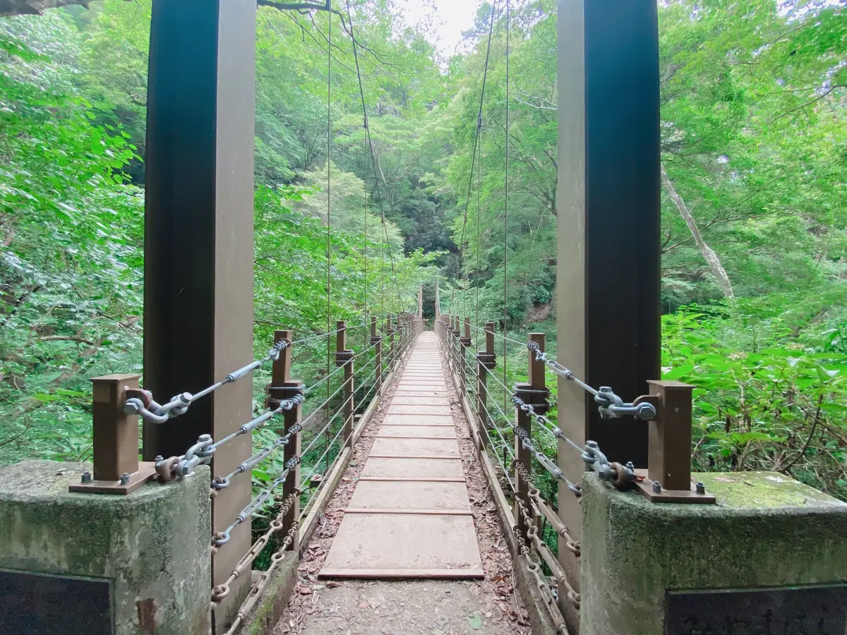 高尾山へ登ってきました。の画像_4