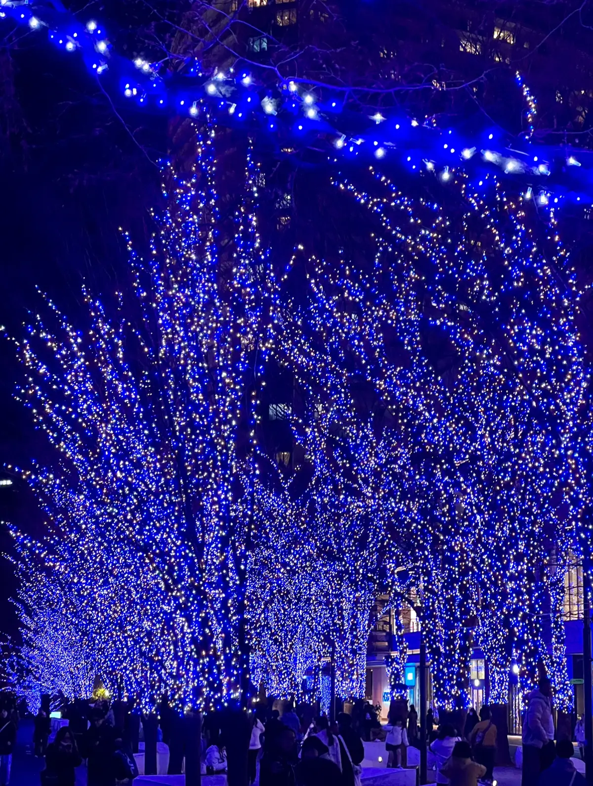 【横浜】みなとみらいクリスマススポットまの画像_2