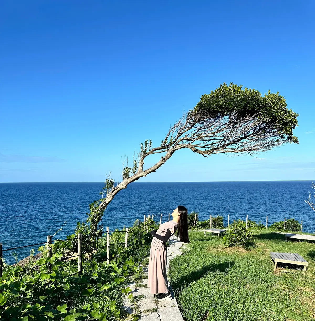 【石川県珠洲市】石川県最北端に神秘的な青の画像_4