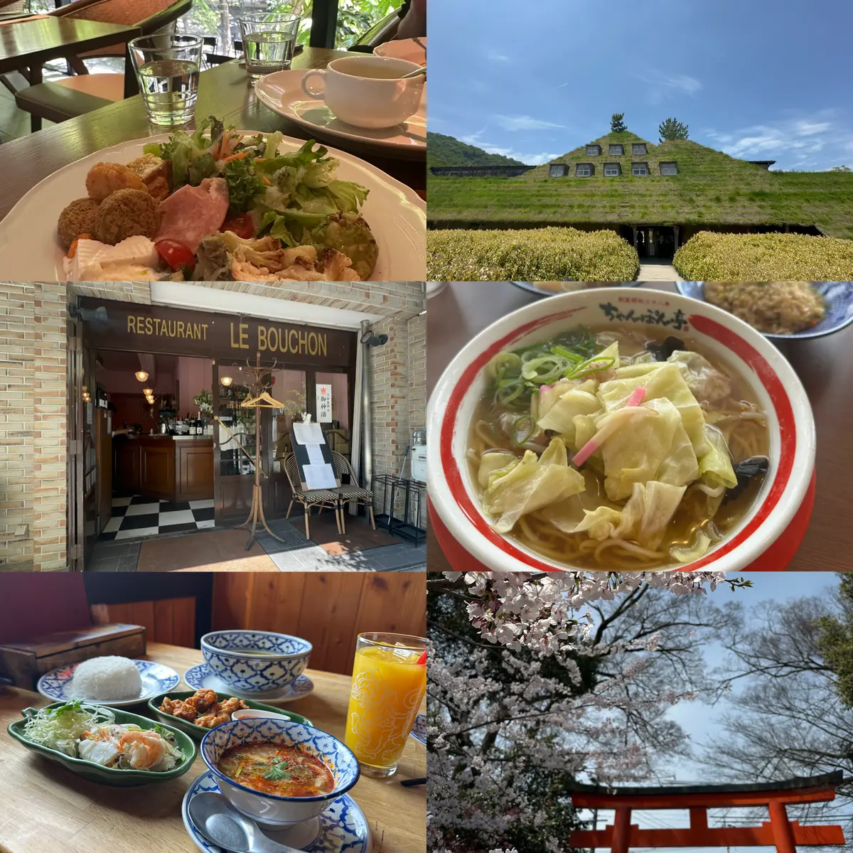 京都 平野神社 桜 レストラン 滋賀 近江八幡 ラコリーナ 大阪 タイ料理