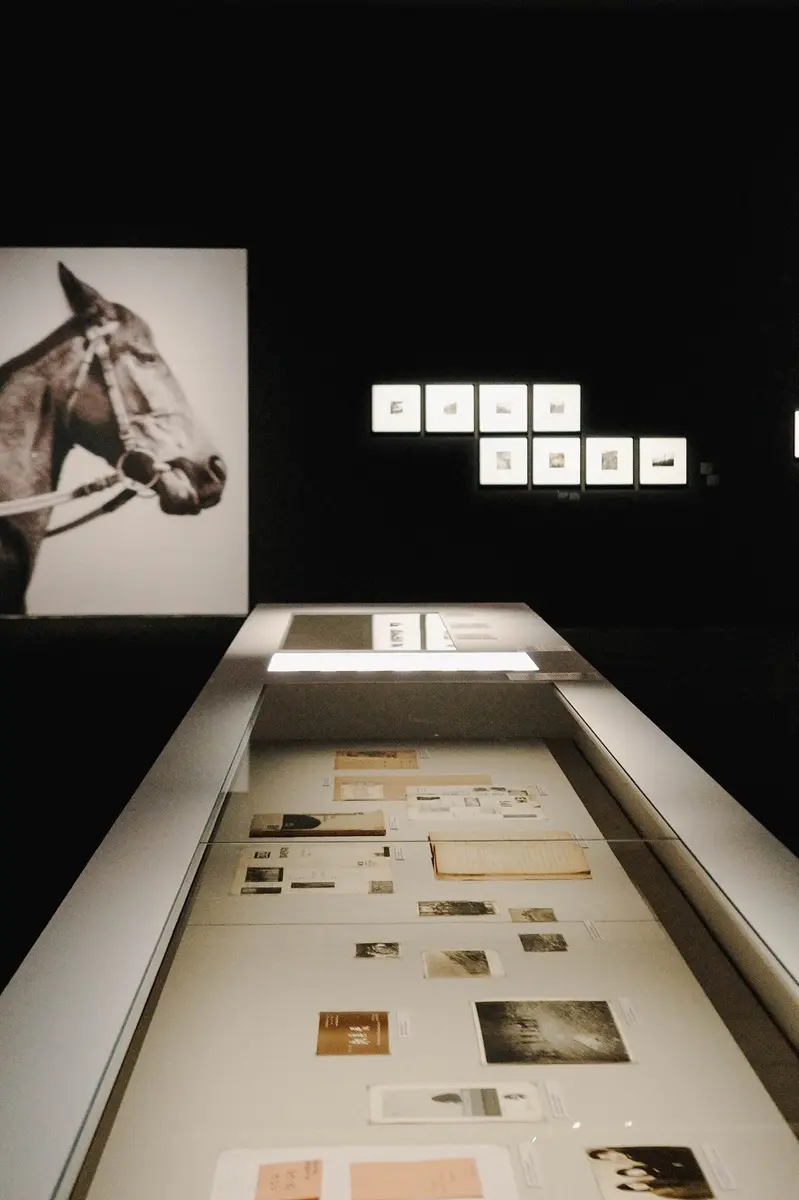 ソウル市立写真美術館