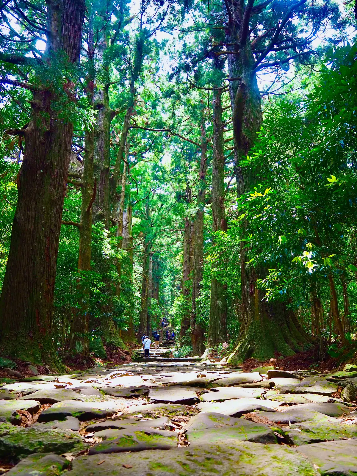 世界遺産のあの“道