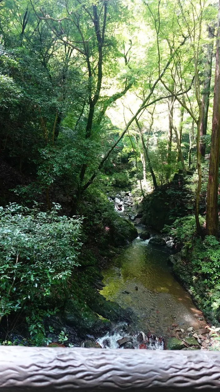 【大阪・箕面】滝だけじゃない箕面満喫プラの画像_3