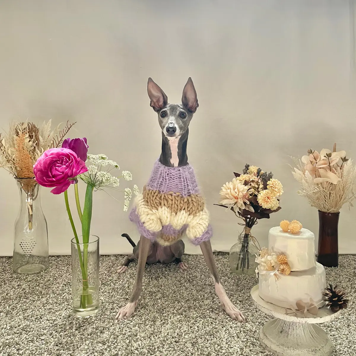 あらためまして、MOREインフルエンサーの画像_6