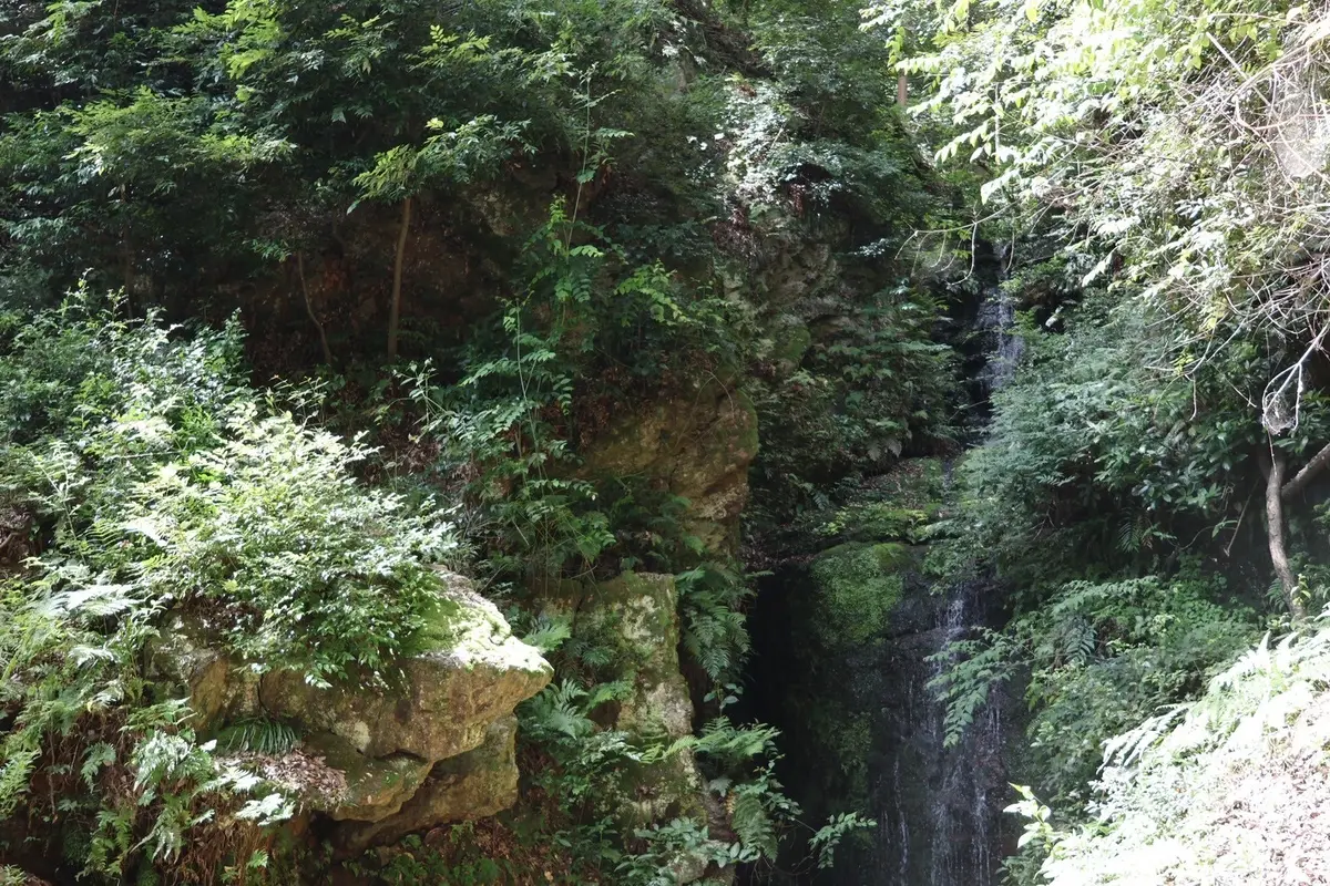 【夏映えスポット】風鈴で涼しげ！縁結びのの画像_6