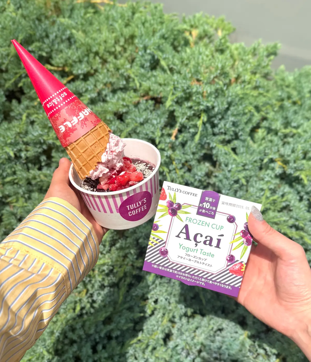 タリーズ新作「フローズンカップ アサイーヨーグルトテイスト」と、既存メニューの「ヨーグルト＆アサイー」