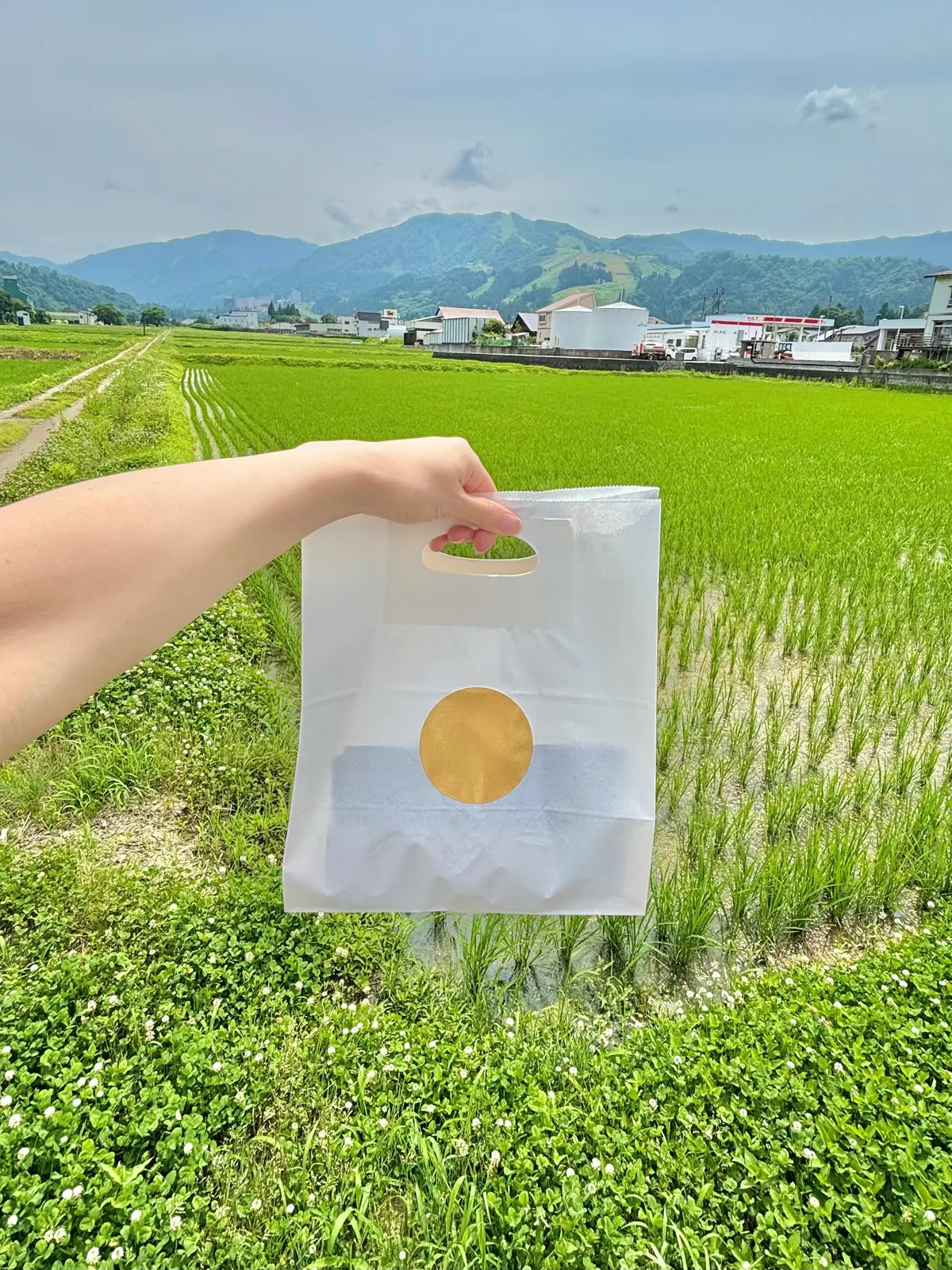 NHKのプロフェッショナル 仕事の流儀でも取り上げられた米農家「関農園」の世界一を6度受賞しギネス世界記録でもある幻の米でつくったおにぎり専門店「FARM FRONT」の「土鍋炊き塩むすび」と「海苔」