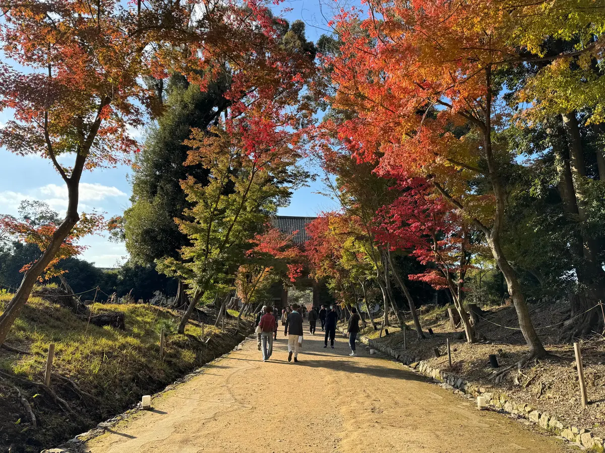 京都　紅葉