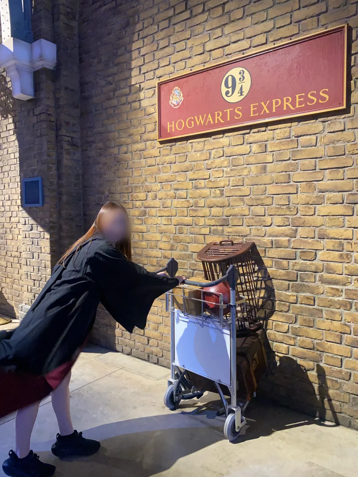 メイキングオブハリーポッター