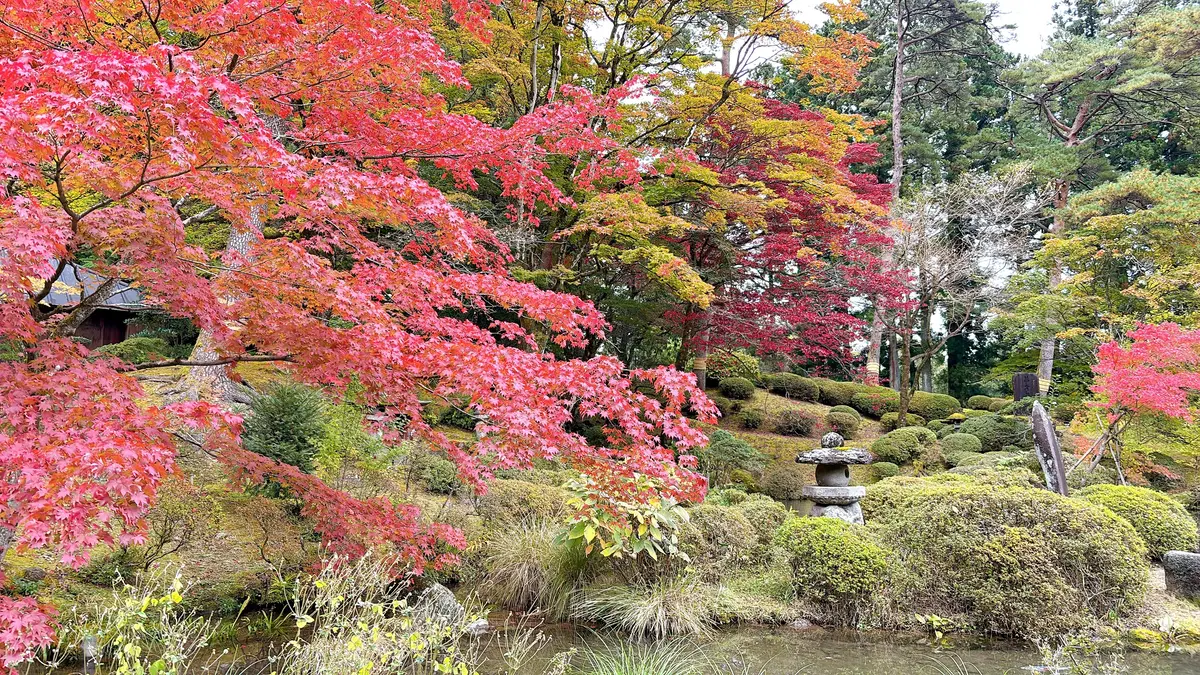 染まり始めの美しい和の景色。