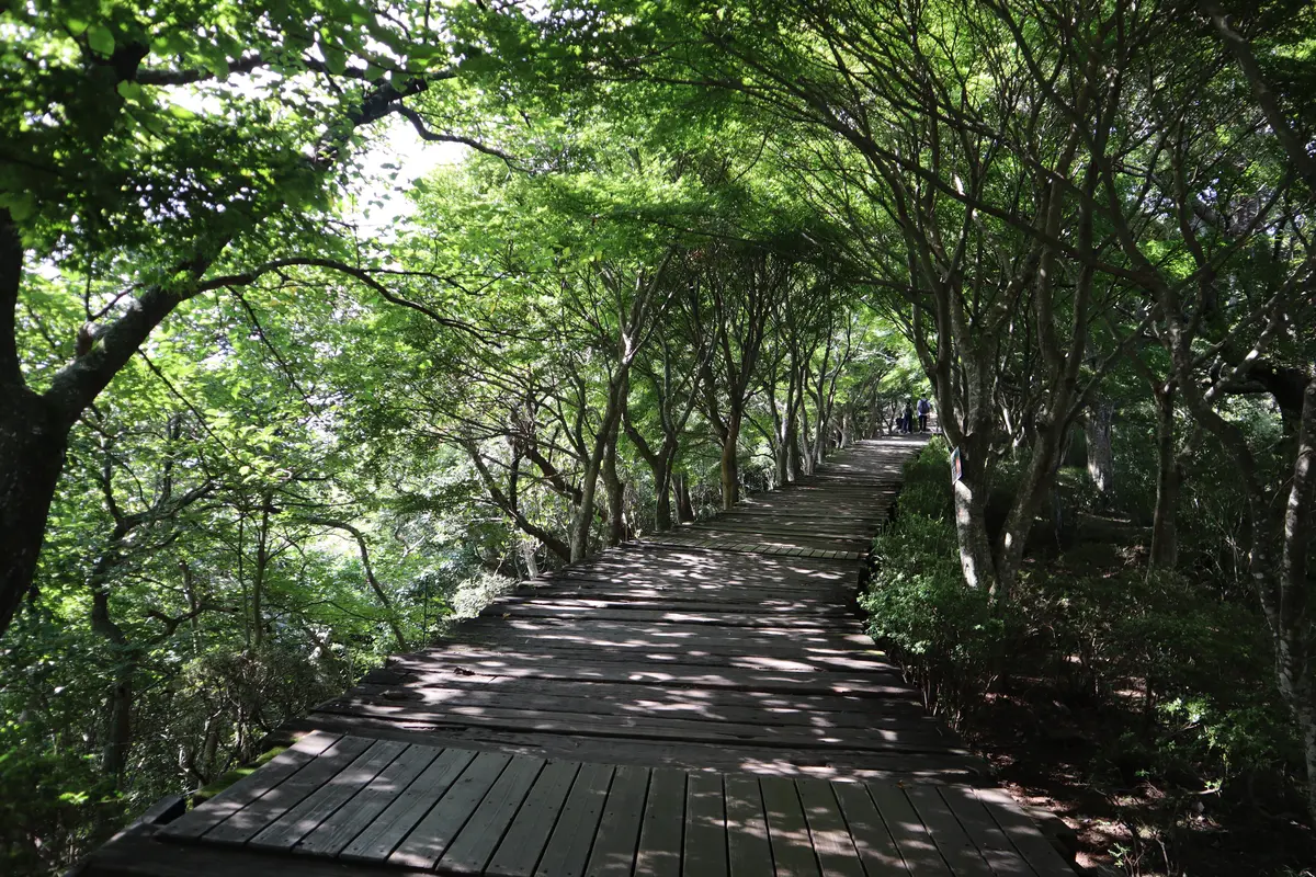 【静岡県】絶景！碧テラスに行ってきましたの画像_5